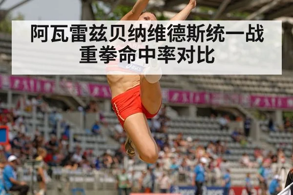 阿瓦雷兹贝纳维德斯统一战 重拳命中率对比